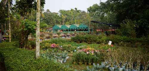 GreenValley-cottage