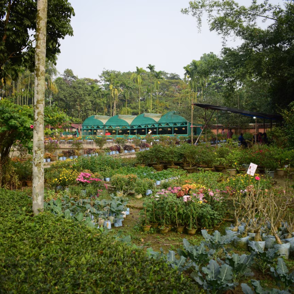 GreenValley-cottage