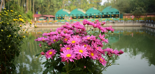 GreenValley-cottage