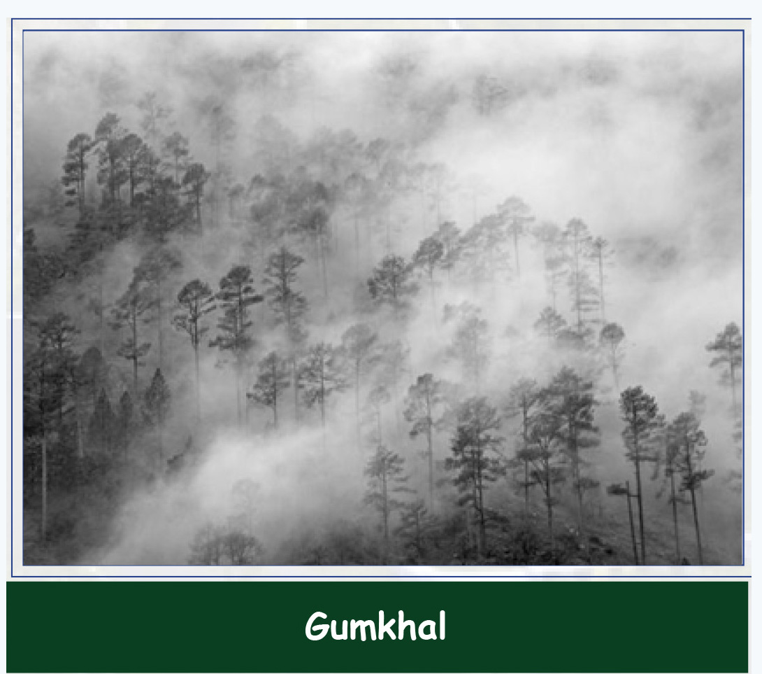 Himalays GreenValley