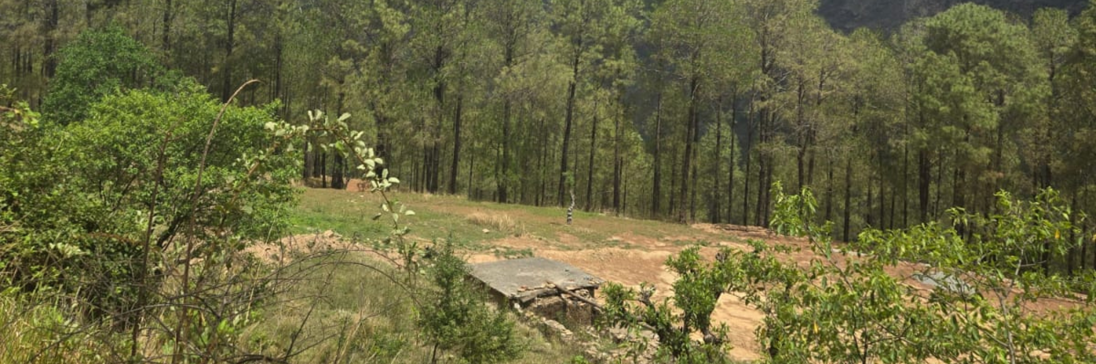 Himalays Green Valley Lansdowne plots