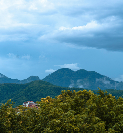 Himalays Green Valley